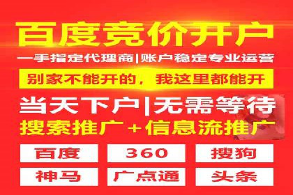 搜索引擎营销（SEM）优化全攻略：成功案例解析